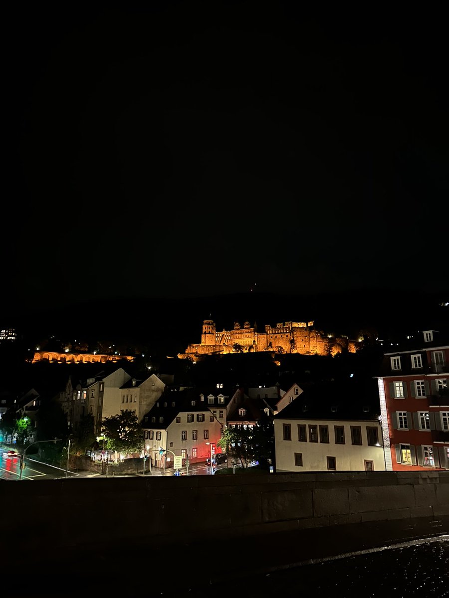 blakeferguson48's tweet image. Got to experience Heidelberg with my parents! Mom was born here back when my granddad was stationed here in the US Army! 

(Elite hoodie game by my father I might point out)