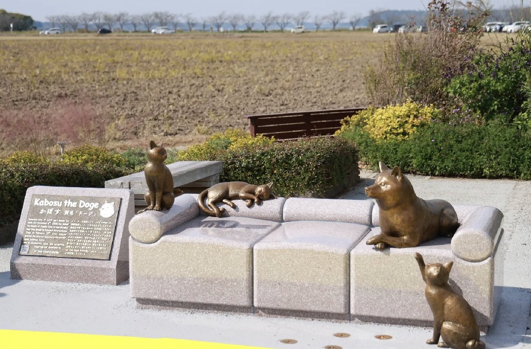 SmartSpaceDogs's tweet photo. 今日のクリゴロはドージゴロー‼️
11.2でかぼすちゃんは18歳になった🐶
この日はDoge dayとして千葉県佐倉市に銅像が建造されセレモニーが開催された🐶
イーロンの来日も近い⁉️油断無🔥

#ゴロソラ
#CryptoGoro
#Day855

!Doge Goro!

auction Let's biiid!
https://t.co/y26Eo87tAu
【1145 days left】 https://t.co/XSFpXDNkaS