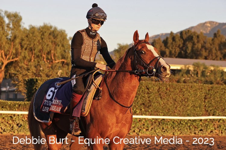 deborahburt1's tweet photo. The LIVE IN THE DREAM 🇬🇧 Team @santaanitapark @BreedersCup @Stevejolenedel1 @sb_kirrane #AdamWest #BC23 #turfsprint 📸 for @InterThorough https://t.co/gALMvhpxmY