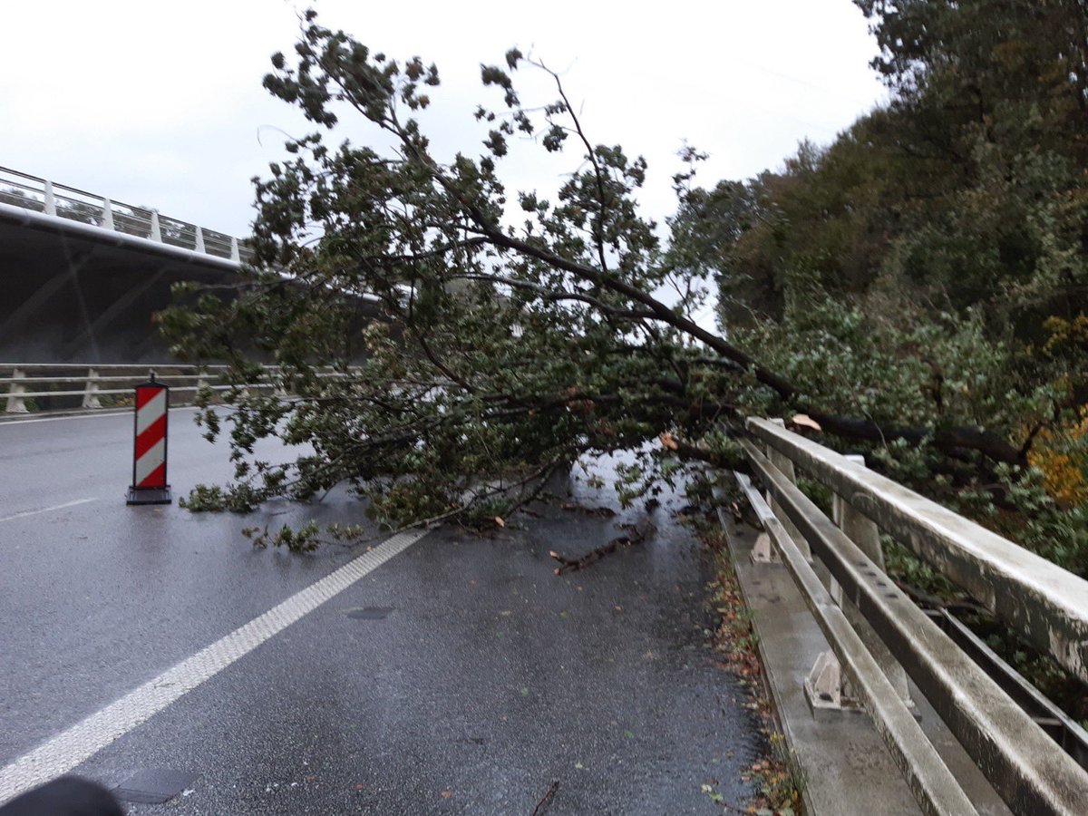 VincentFanguet's tweet photo. #Ciaran Arbres couchés, camions renversés par le vent, pertes d’alimentation électrique… nos 500 collègues ont fait front aujourd’hui pr maintenir la sécurité de la circulation sur les autoroutes @sanef_groupe dans les #HautsDeFrance et en #Normandie. Merci à chacun d’entre eux. https://t.co/5IxqBHJMqb