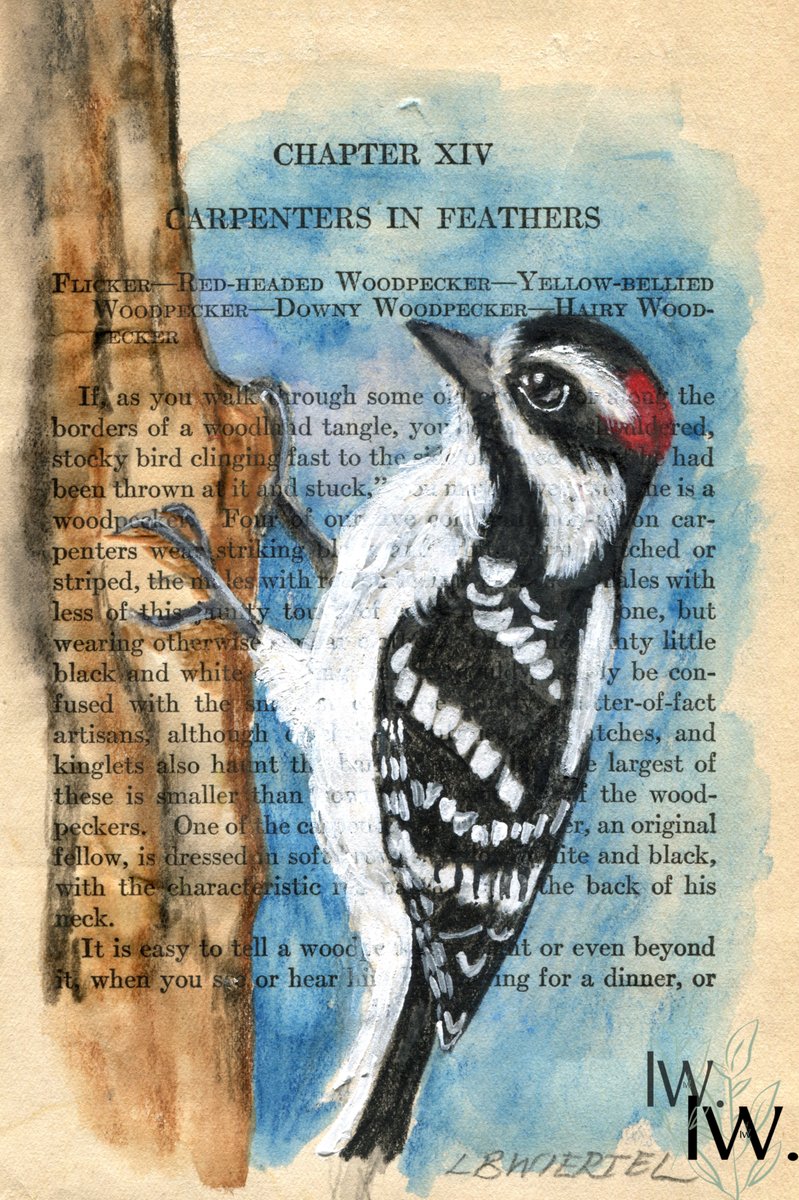 Finally finished this painting of a downy woodpecker.  Mixed media on vintage book page dated 1923.  #wildbirds #birds #birdwatching #natureart #nature #birdart #birddecor