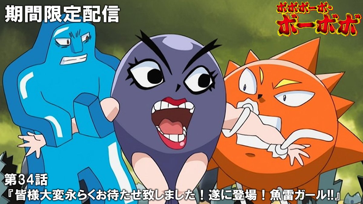 「ぼぼぼー」 poppi Prebiotic Soda Variety Pack (12 fl. oz., 12 pk.) – My Kosher