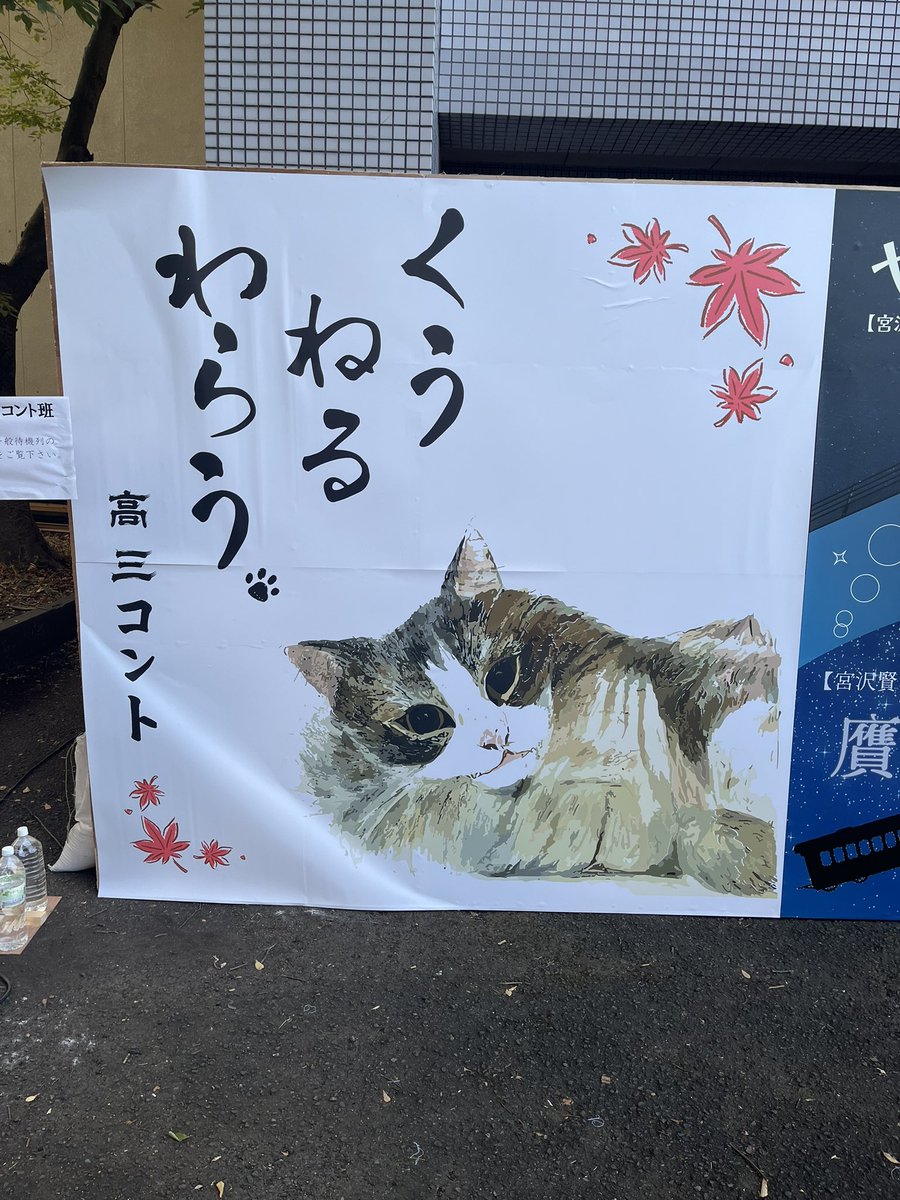 conte_72's tweet photo. 【文化祭1日目】
ついに！ついに文化祭当日がやってまいりました！皆さん是非高三コント班まで足を運んでください！では文化祭3日間楽しんでいきましょう！ https://t.co/zGHwDdLj89