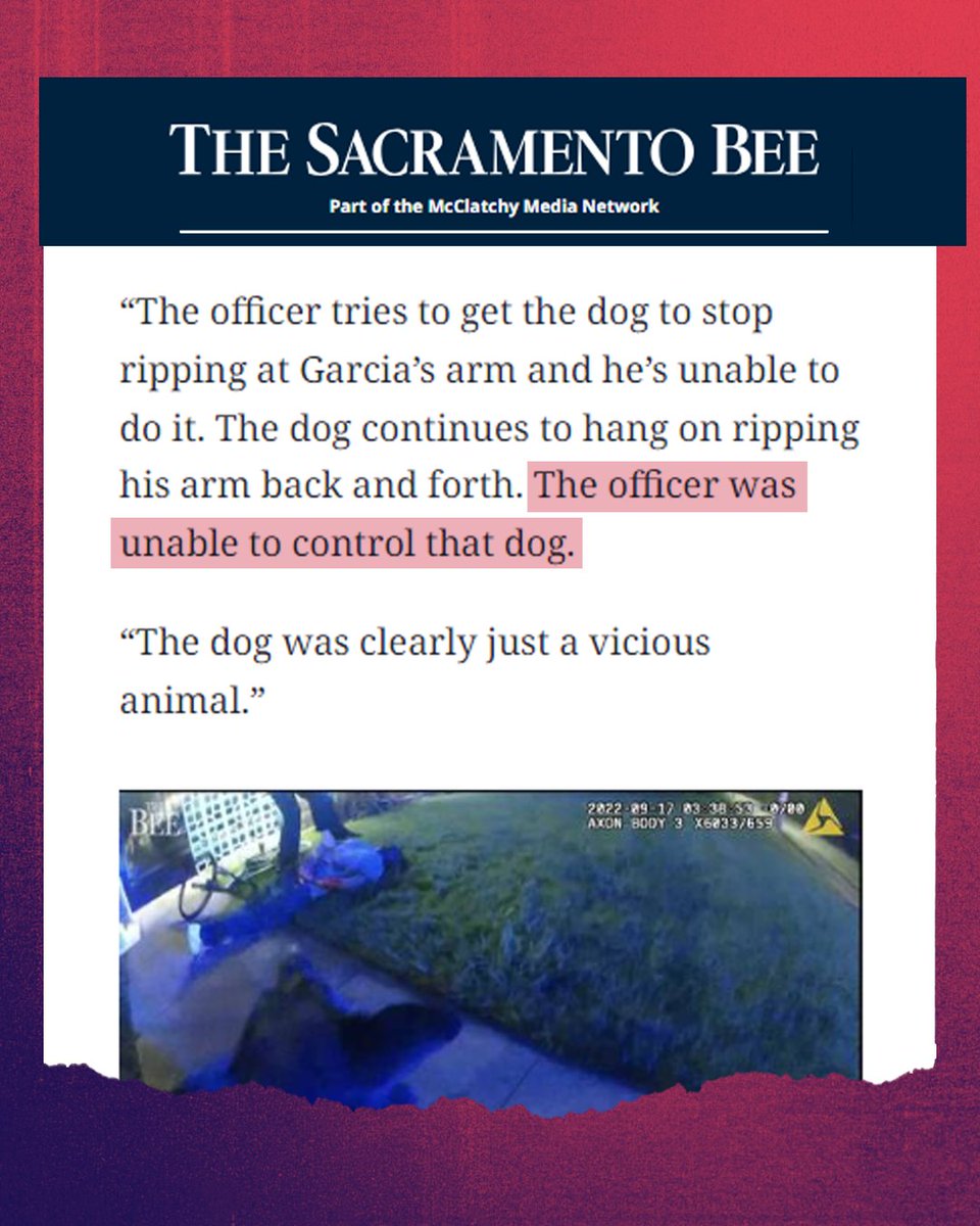 ACLU_CalAction's tweet photo. Videos like this will continue as long as police use attack dogs as weapons against the people.

Canines are often released to bite people who don't pose a threat &amp; ignore commands to stop attacking. #CALeg, pass #AB742. The public deserves to be safe.

🔗https://t.co/Ggo8mo3uRP https://t.co/j6dWCI77lu