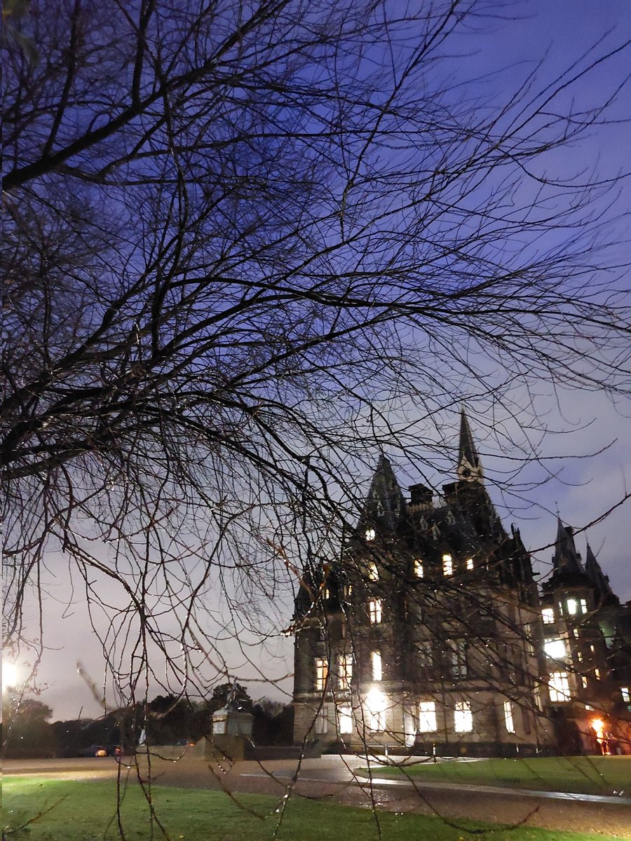 Fettes Humanities tweet media