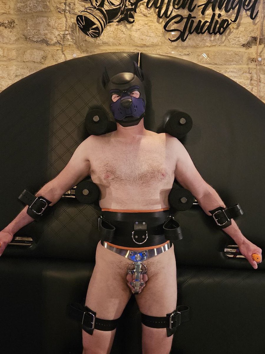 PupSparkPlugXXX's tweet photo. Went for a spin on the new dungeon wheel.. 🐷 joined in.. 
📸 @Sj23NickLeeds 
🔄 @MKRubberKink 
📍@DungeonHire 
🕰️ Sept 23 🙈 https://t.co/IddRN7CHTC