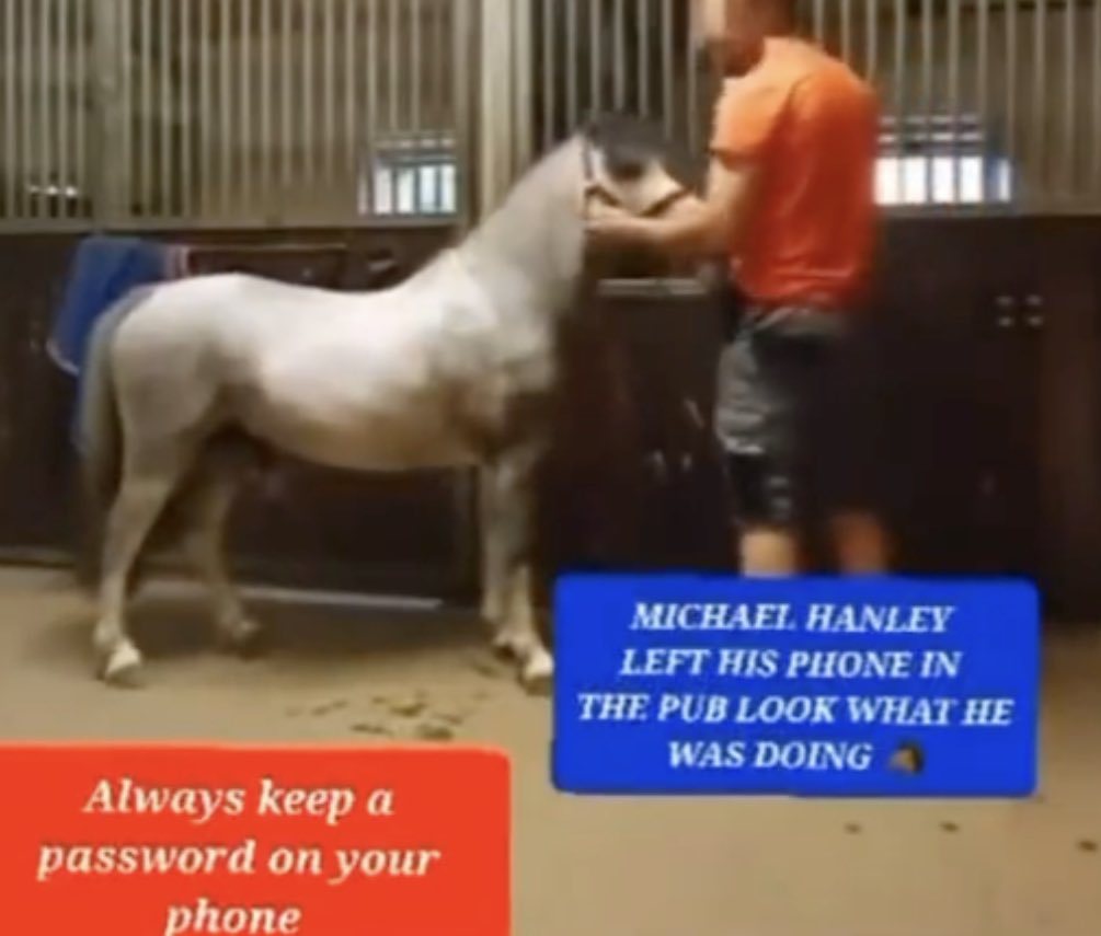 DramaAlert's tweet photo. HORSE VIDEO MIGHT HAVE BEEN A FALSE FLAG OPERATION! 🤯‼️

A YouTuber managed to contact the man named in the video’s captions, and the man claims he didn’t touch that horse! 🐴

🧵thread 👇 https://t.co/beK91DiAL2