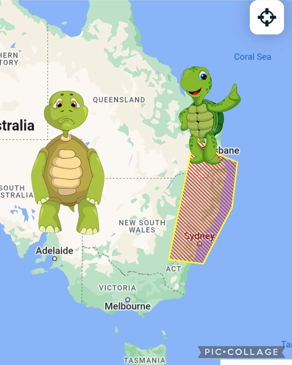 Today's #TurtleForecast sees flurries of turtle activity between #Wollongong and #Brisbane from mid afternoon

No need to take SHELLter, use the nest predictor tool to find hotspots near you 

1millionturtles.com/turtle-nest-pr…

<a href="/doctormcdougall/">Lindsay McDowens</a> <a href="/wendy_harmer/">Wendy Harmer</a> #TurtleMonth #1MillionTurtles