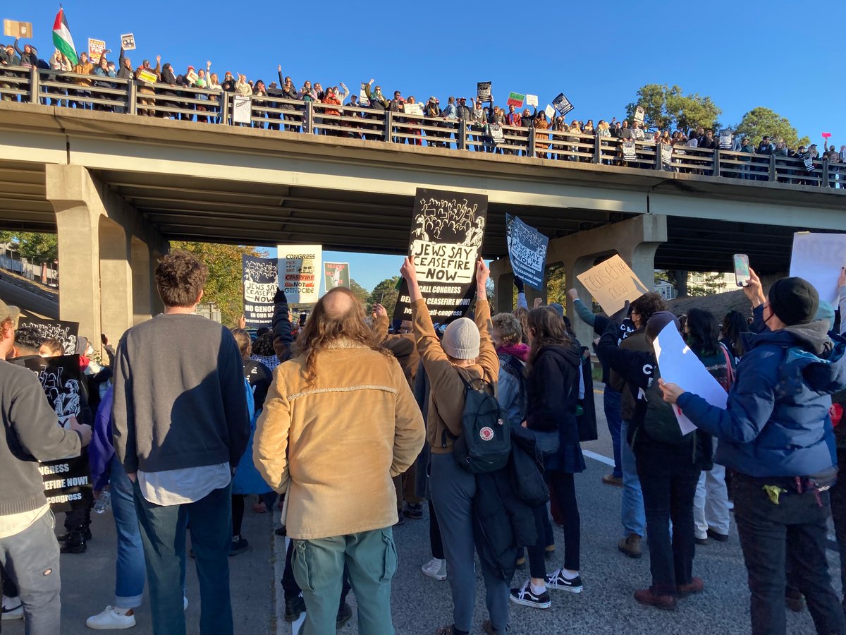 Eli Meyerhoff 🍉 tweet media