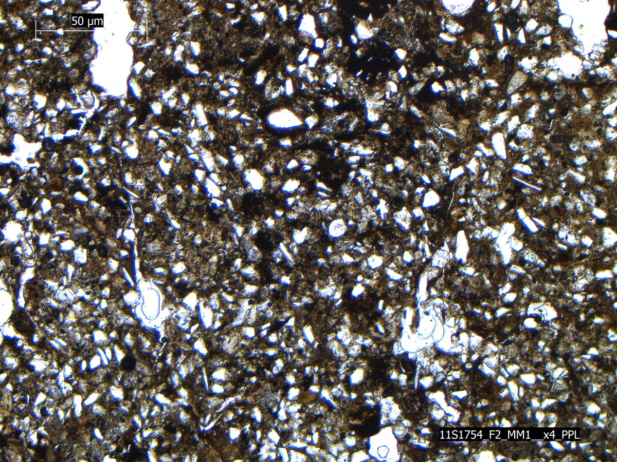 #ThinSectionThursday - floodplain soils formed in what I think is a natural flood deposit in the basin of sterile pit dug during the Lt. Woodland/Early Mississippian period. Be careful when you leave a pit open in a floodplain.