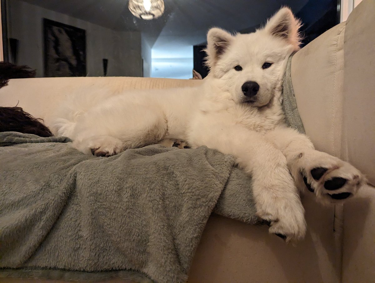 Michael (Digimortal85) Brookhuis tweet media