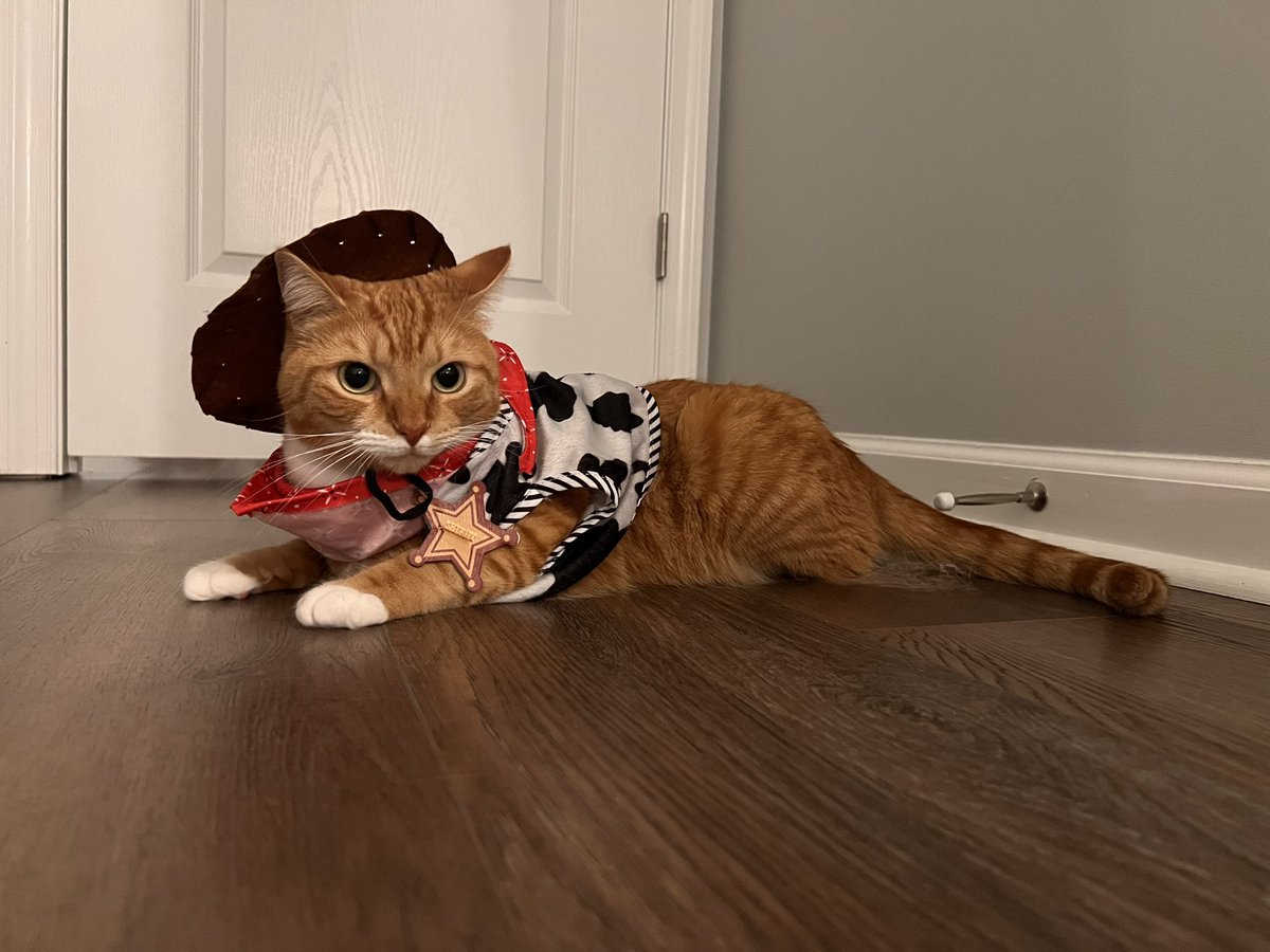 _bport95's tweet photo. Nemo is such a model https://t.co/qYnHszTQpy