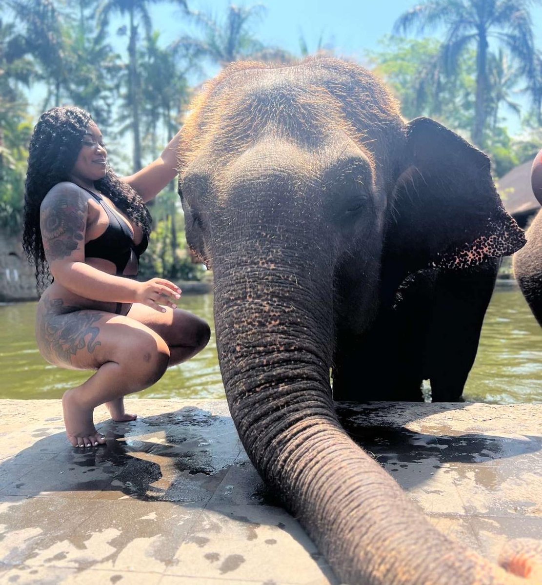 desthevixen's tweet photo. More From Bali🇮🇩 https://t.co/8zR0gjvKUY