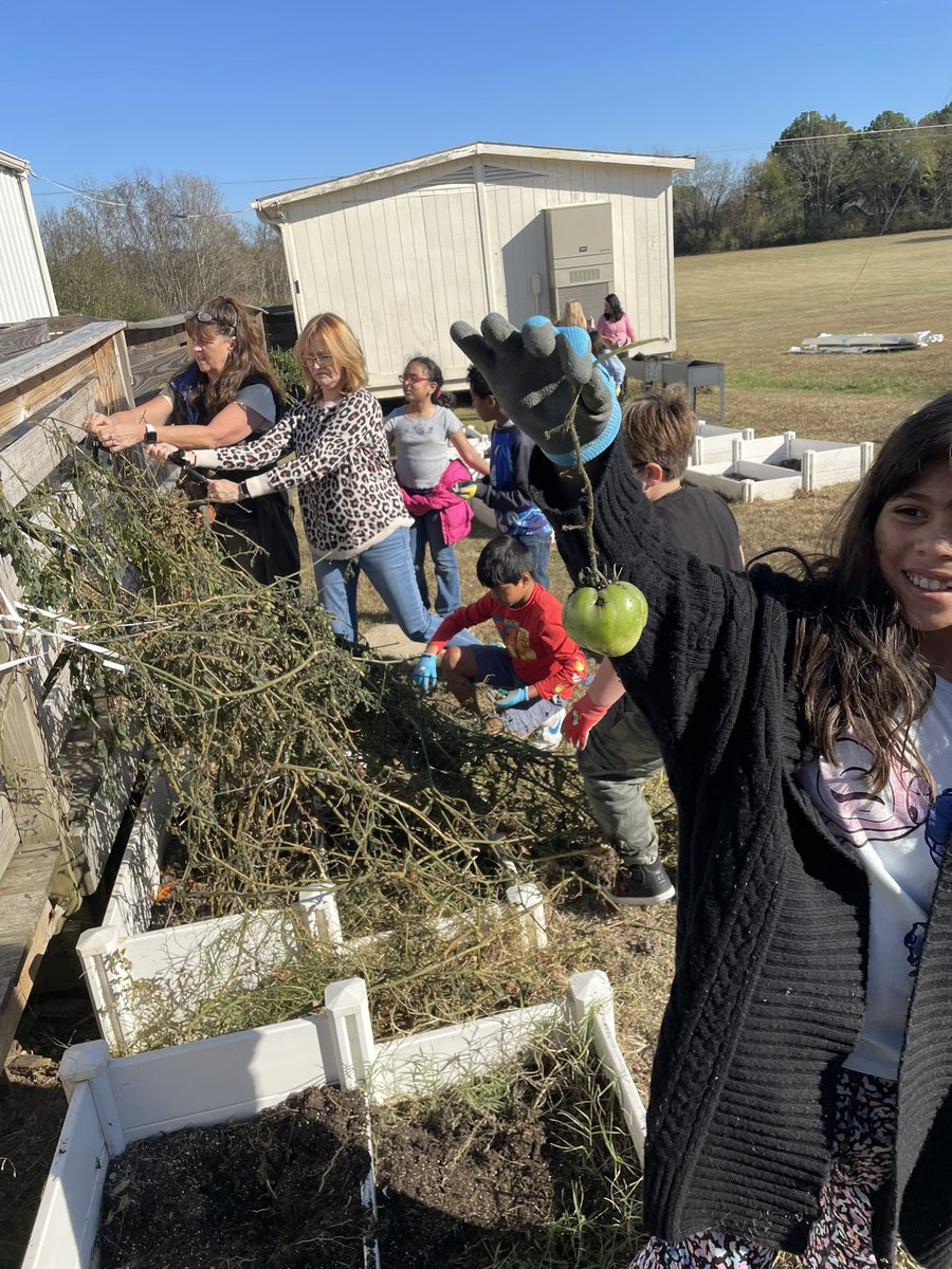 Ms. Bertels ESL Class tweet media