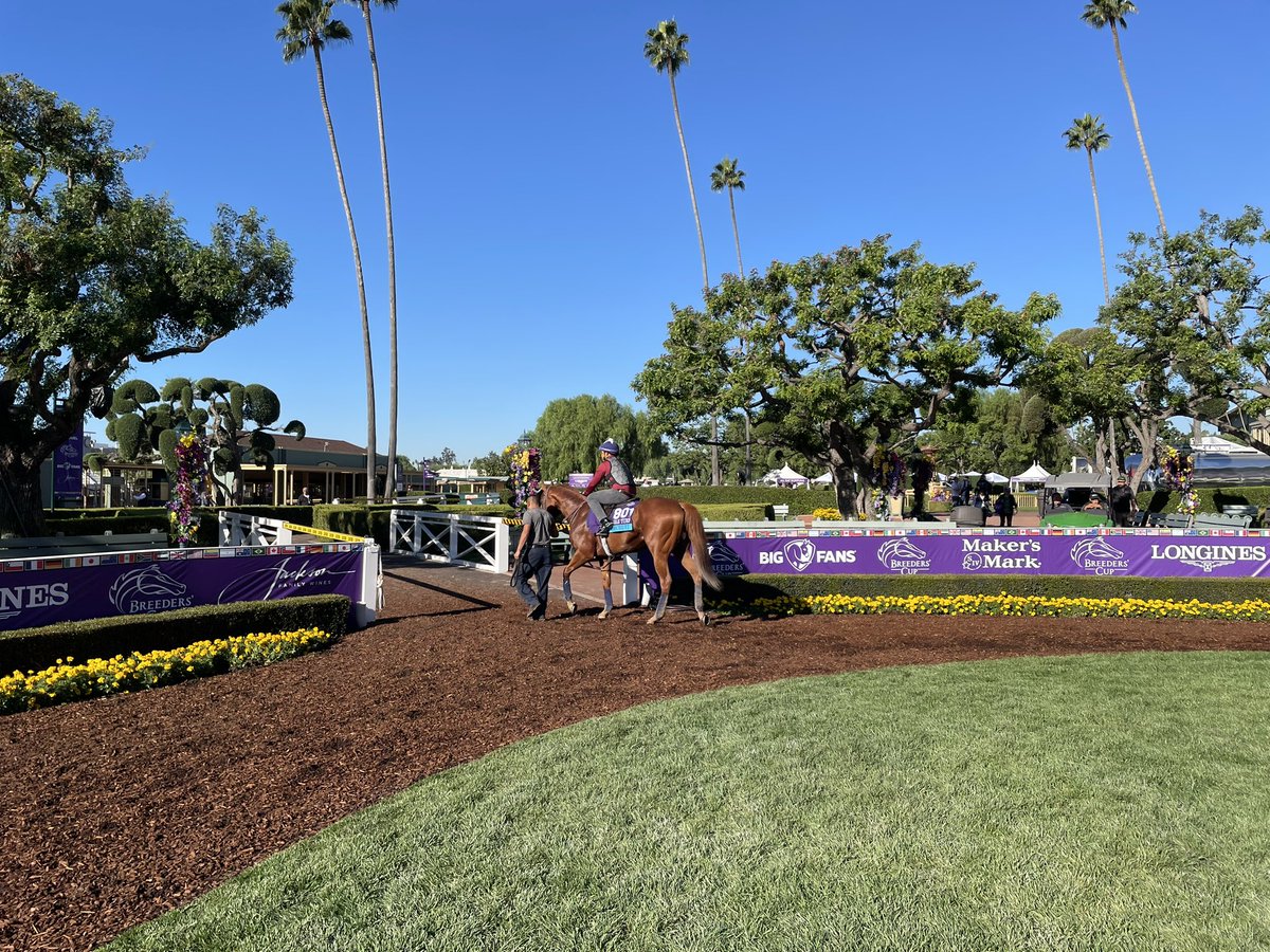 Delacour Stable tweet media