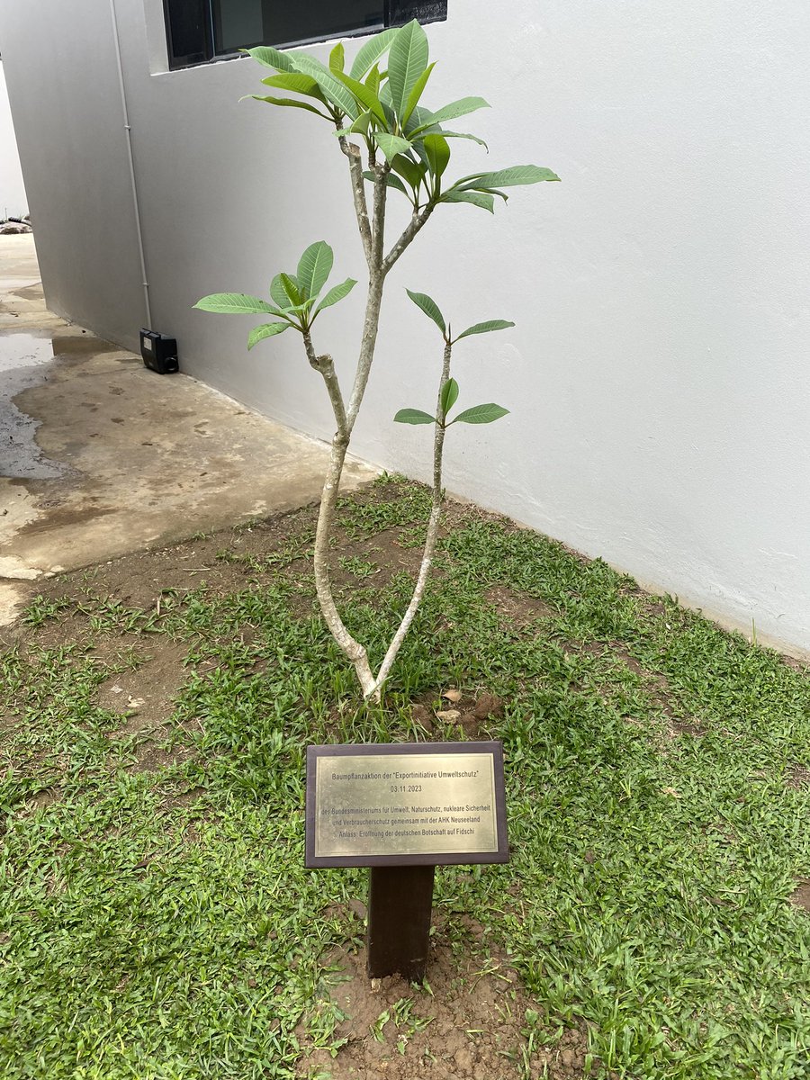 GermanyPacific's tweet photo. @GermanyPacific in 🇫🇯: Tree Planting 🌳today: Strengthening bonds of friendship + environmental stewardship. The opening of the 🇩🇪 embassy: marking a new chapter in relationship with 🇫🇯 and the South Pacific in climate + economic cooperation. 🌏#EnvironmentalDiplomacy #GreenTech https://t.co/5ZmIdMS2Ll