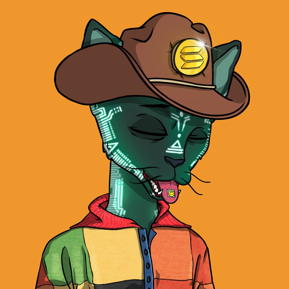 A cool Hoodie. Another cool Hoodie . Illu