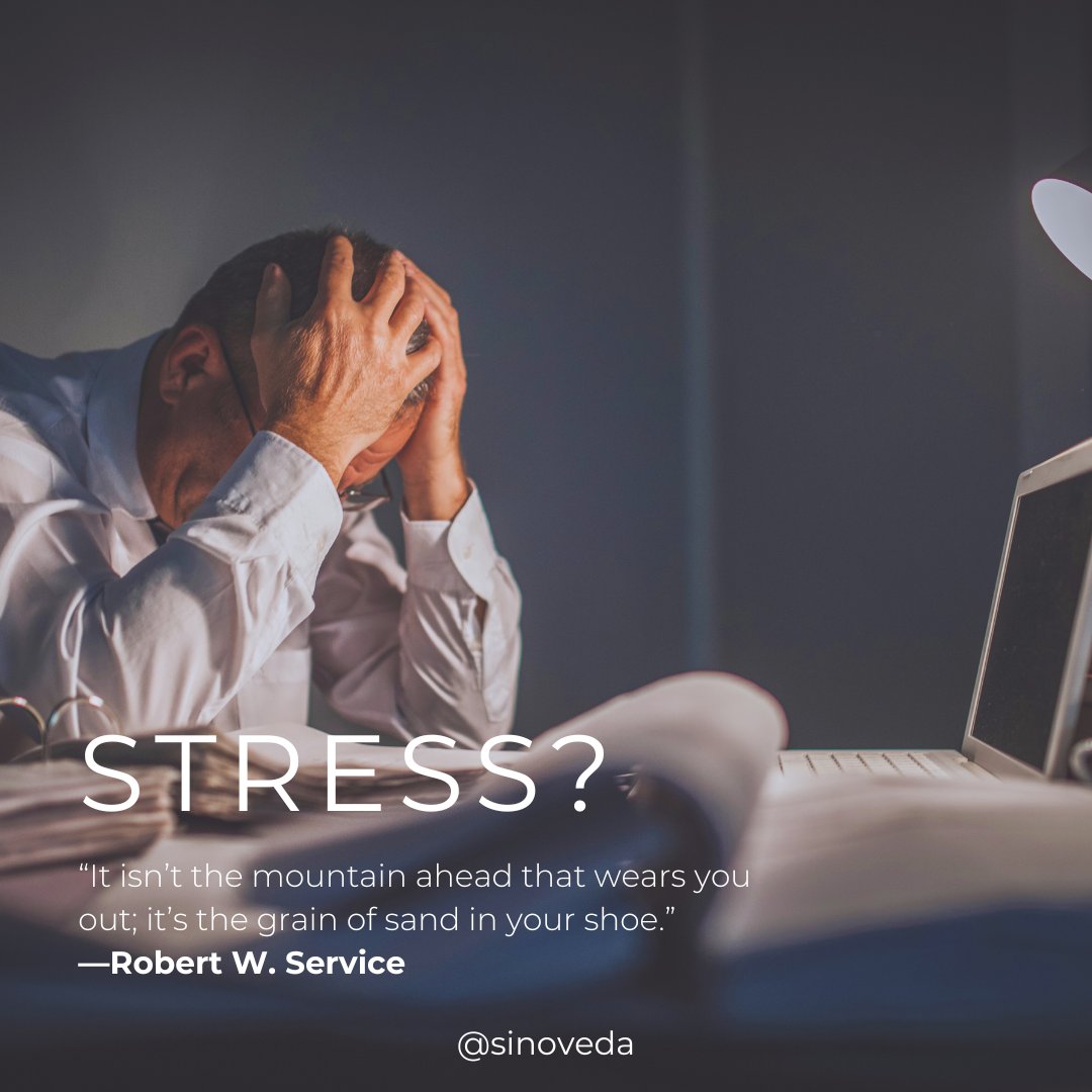 Zero Stress Tips!
To reduce and manage stress effectively, practice deep breathing, mindfulness, task organization, delegation, and self-care. Additionally, maintain a positive perspective through gratitude by focusing on your blessings.