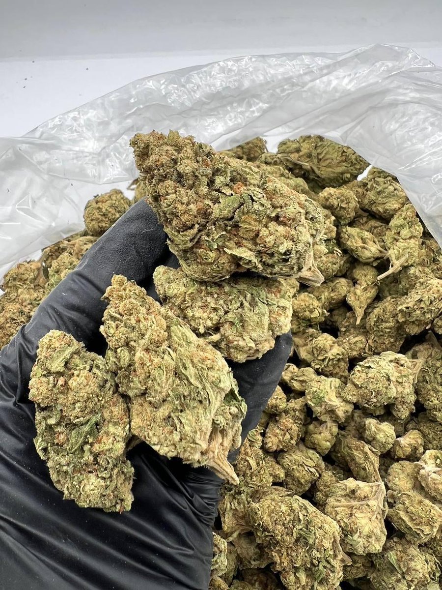Papaya Bomb #WriteWeed #PPP #Weed #420Life