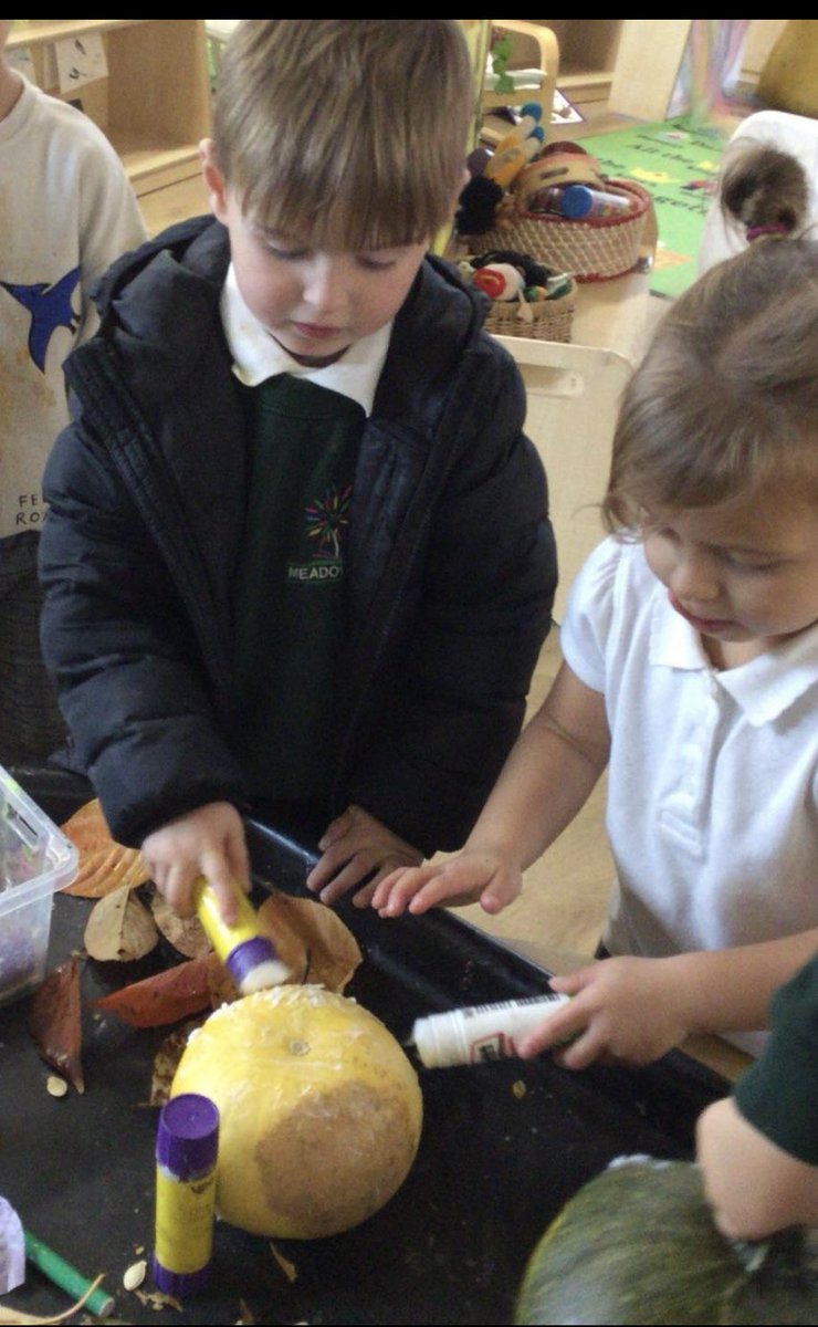 Meadowside Sunflowers Nursery tweet media