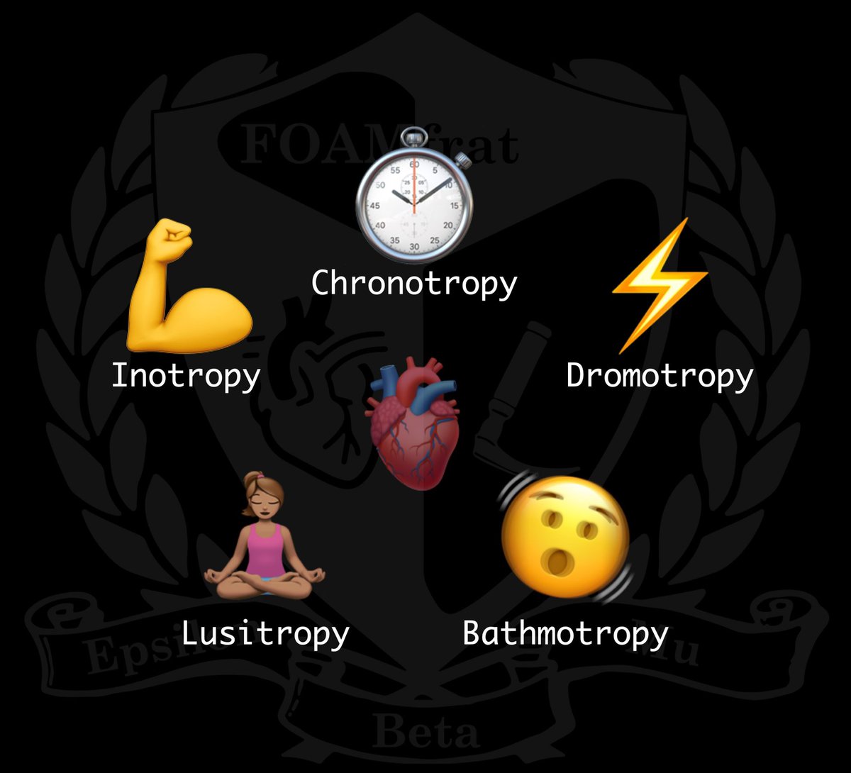 Cardiac Functions:
💪 Inotropy: Strength of contraction
⏱️ Chronotropy: 🫀 rate
⚡ Dromotropy: Conduction speed through the AV node
🫨 Bathmotropy: Excitability or threshold for contraction.
🧘🏽‍♀️ Lusitropy: Ability of the heart to relax (faster relaxation -> longer time for filling