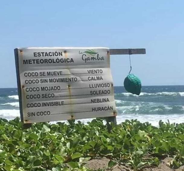 Coco abollado: granizo 
Agua de coco: inundación 
Coco oscuro: de noche 
Coco triste: recuerdame