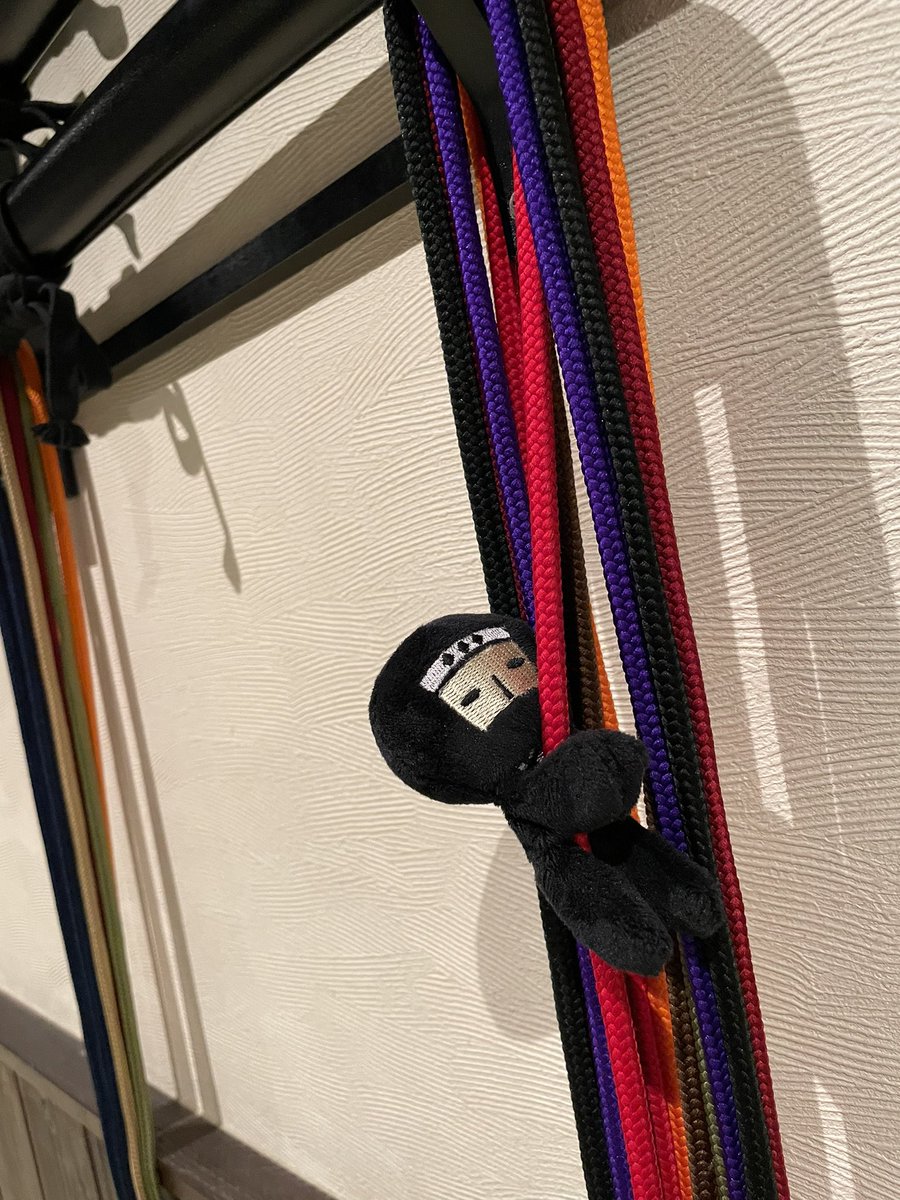 NinjaDojoStore's tweet photo. 全ての忍者を見習う 見習い忍者の伍猿でござる！

今日は文化の日でござる。

今日も今日とても修行に励むでござる。

にんにん

#伍猿でござる https://t.co/ZmBQnByxRt
