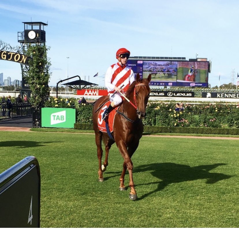 Lachlan Chapman tweet media