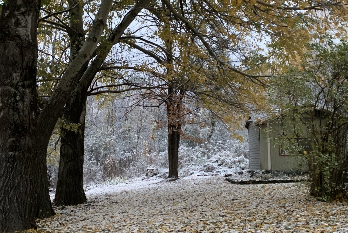 mattalltradesb's tweet photo. Matt's Weather Rapport: Yesterday's snow in #Vermont was a bit of surprise, but it was beautiful, and involved some late season #snoliage. Warmer times for a few days coming. Details: https://t.co/wYIkWxzJWE #vtwx https://t.co/uZsUpSRWkr