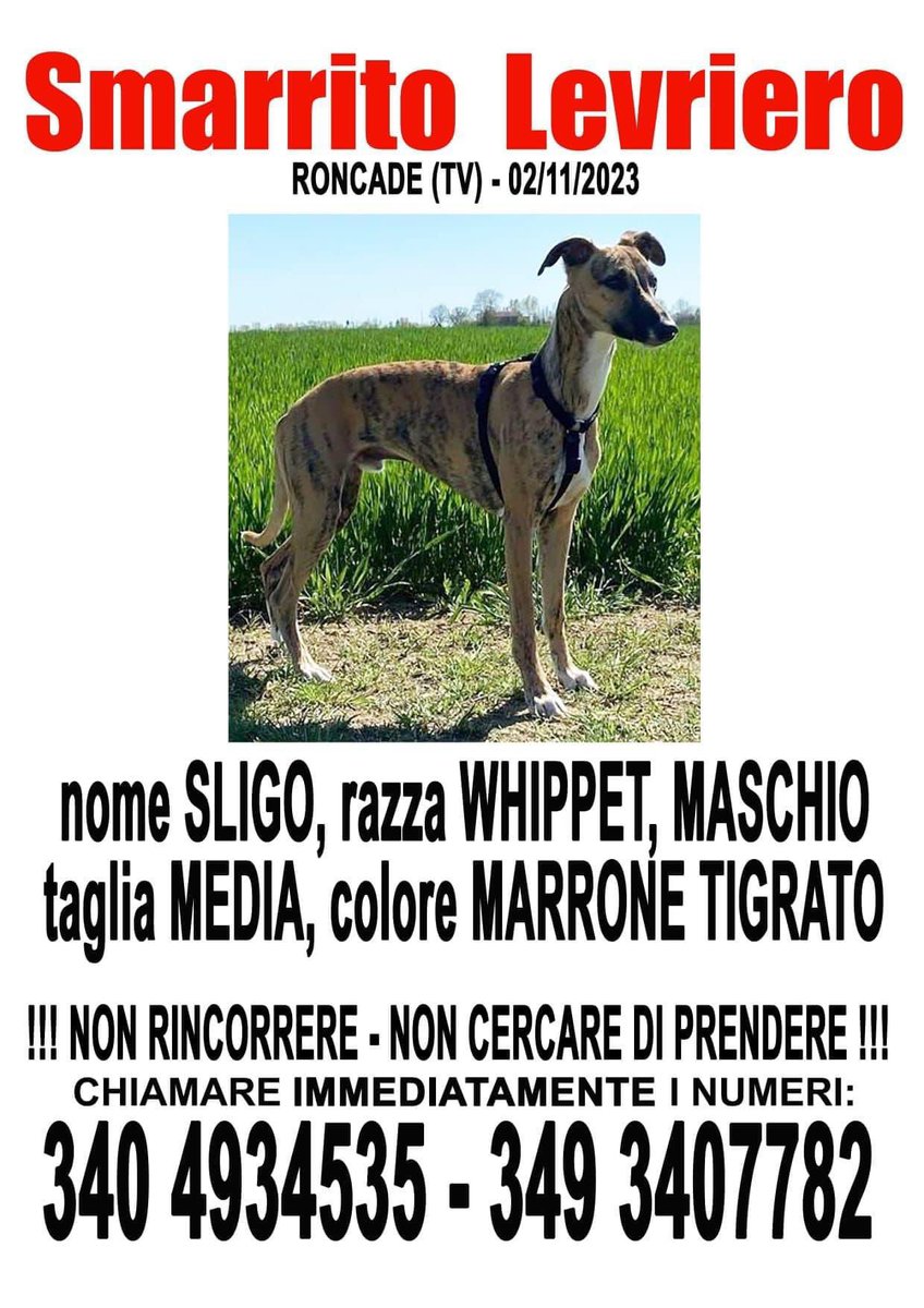 The Terrible Cece tweet media