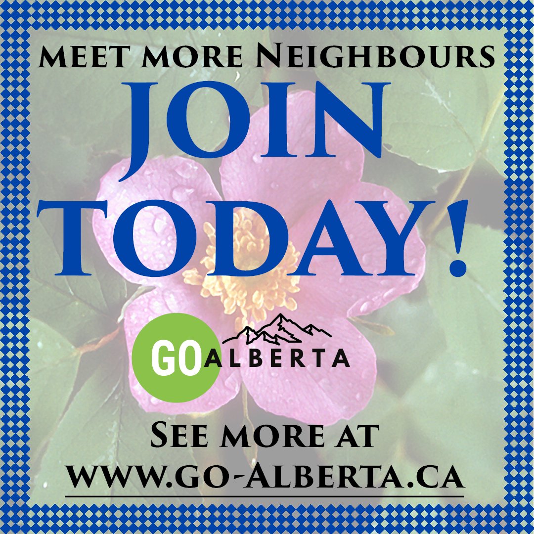 goalbertago's tweet photo. ๐ Meet Your Neighbors: Lambtastic Farms near Vulcan, Alberta! ๐
Say hello to Ray and Nancy Nolan!
Explore more Alberta business stories here: https://t.co/zz8J2DCJtU
#albertalamb #supportlocal #eatlocal #farmtotable #visitvulcan #goalberta #meetyourneighbors https://t.co/fhi6m0waUY