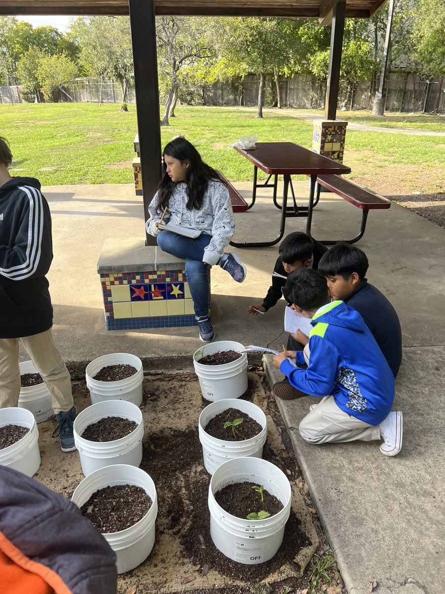 Children Interacting Afterschool ~ Best Elementary tweet media