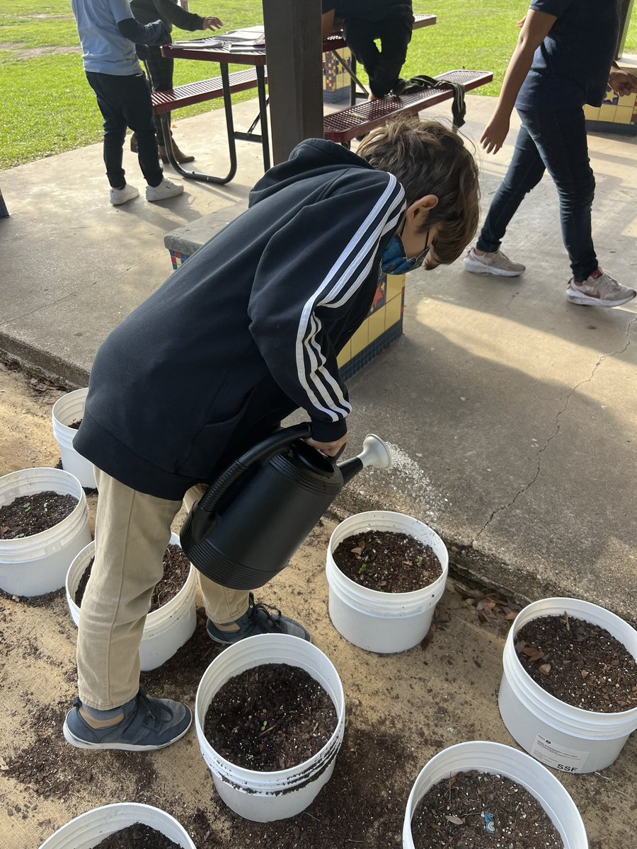 Children Interacting Afterschool ~ Best Elementary tweet media