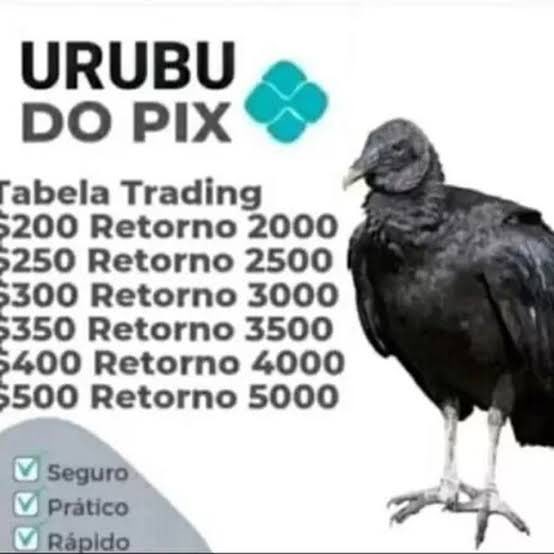 liarliau's tweet image. galera acabei de fazer e super funciona recomendo demais #mulherempoderada