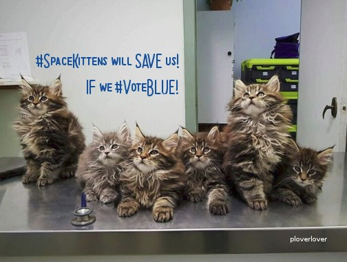 time4kind's tweet photo. .              #SpaceKittens Will SAVE Us
.                           #SaveTheFuture
.           #MakeAFriendVoteBLUE https://t.co/MSU5EkWRI0