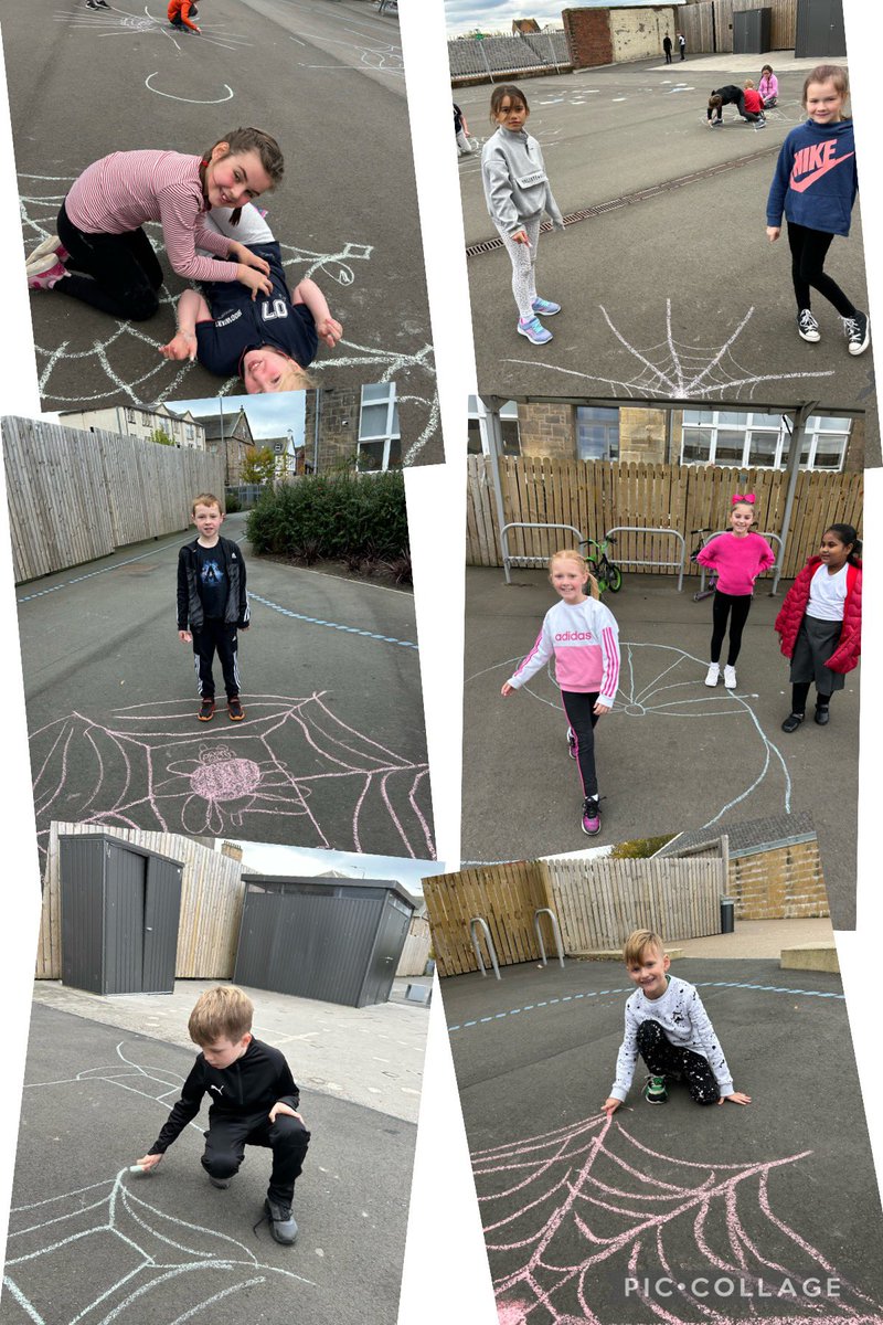 AyrGrammar's tweet photo. A range of maths investigations in P4 #problemsolving #numberhunt #openendedtasks #investigations #numberskills #teamwork https://t.co/UcHjd4utI8