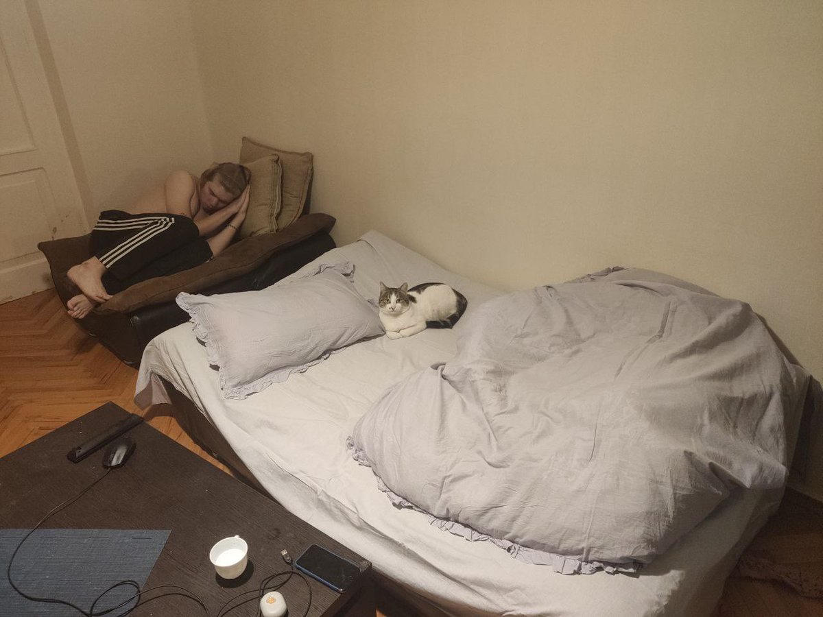 glebozavr tweet media