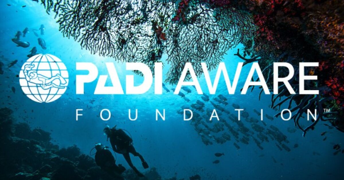 Project Aware Marine Debris Affects 693 Marine Species Globally. @Projectaware’s #Diveagainstdebris - #pacoceansports, #cityofconcordca, #scubapro, #scuba, #scubadiving, #freediving, #cityofmonterey, #pacificoceansports, @PacOceanSports, pacificoceansports.com