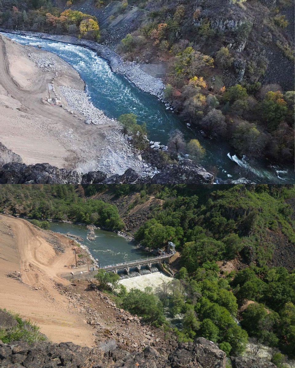 Crews just completed the final blast on Copco 2 Dam & removed the remaining concrete from the riverbed! With the dam gone & diversion infrastructure removed, the Klamath River can now flow freely through 1.7 miles of canyon, which had been without water since dam construction 🙌