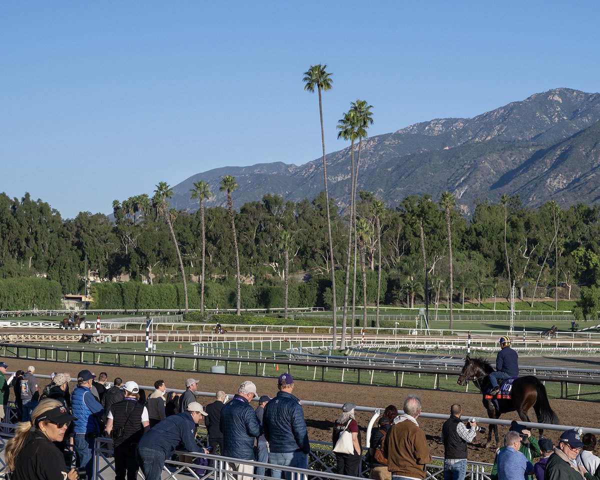 Beautiful morning and huge crowd near @HorseClockers at @SantaAnitaPark as final preparations were underway for the 40th @BreedersCup. #Didia #CodysWish #DormanFamily #Flowers @Sparano1 @dbrixx24 @tjwilkin @LeslieDorman6 @kdorman54