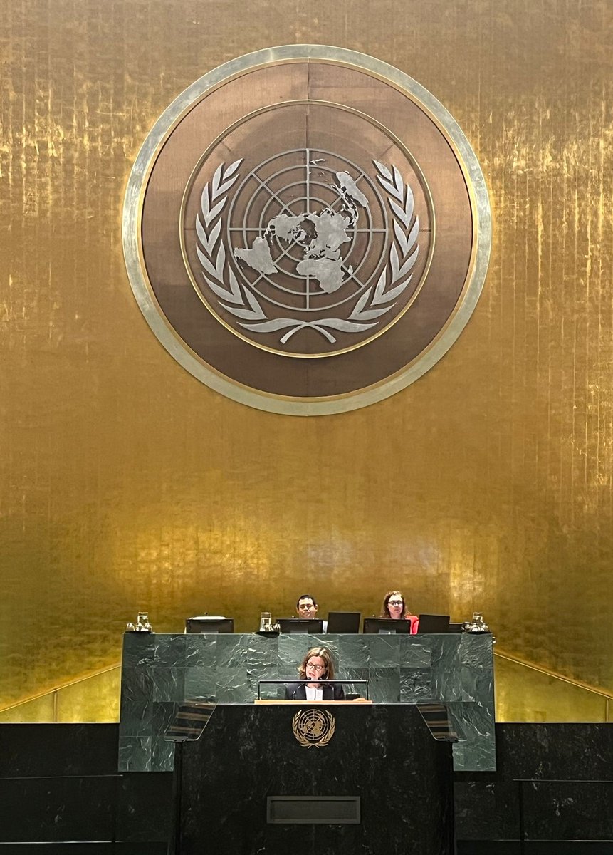 NorwayUN tweet media