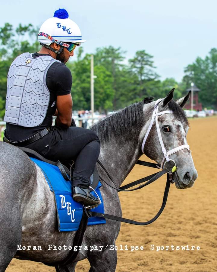 marspenny69oo's tweet image. Another one trying to win back to back Breeders’ Cup races…Caravel (#BCTurfSprint).