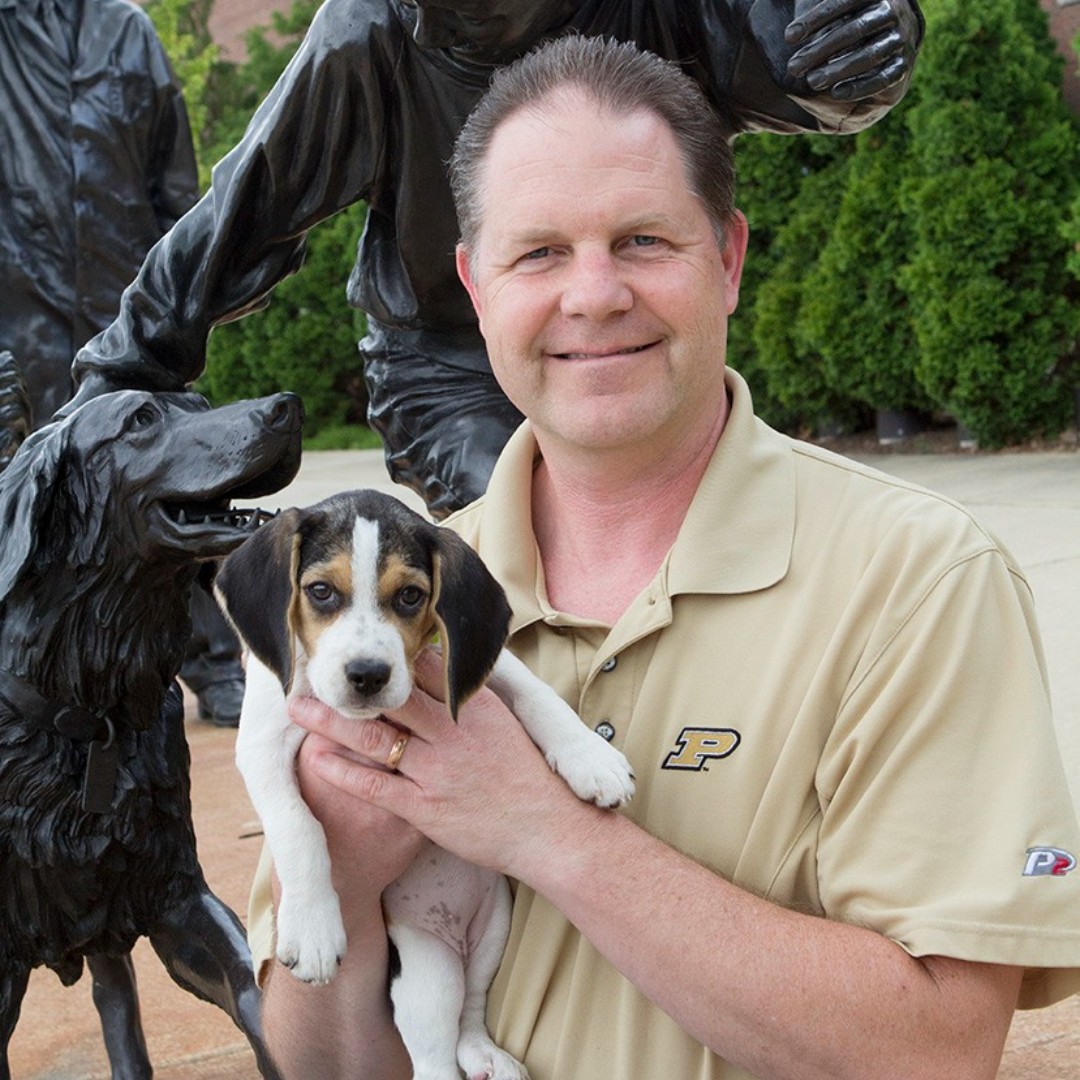 Dr. Steve Thompson, DVM, DABVP – Canine & Feline Practice is a Primary care clinician with Purdue Veterinary Hospital teaching students and servicing our clients. Learn more Small Animal Primary Care services at purdue.vet/sapc @aahahealthypet @lifeatpurdue @avmavets