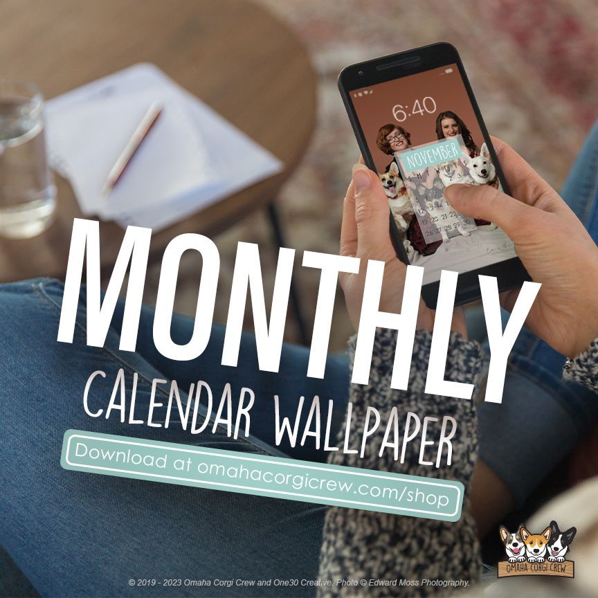 OmahaCorgis's tweet photo. Make sure your phone is ready for November by downloading this month's FREE mobile calendar. 🐶  Guaranteed to give you the happiest lockscreen ever! 🥰 https://t.co/fdzhLMmU4Q https://t.co/q7rhsOSRvz