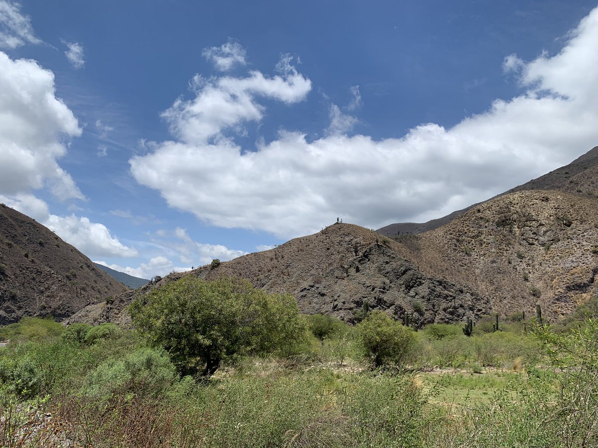 v_bustreel's tweet photo. #route40 #argentine en descendant entre Salta et Cachi ⭐️🇦🇷 https://t.co/a9FqoM6Xnz