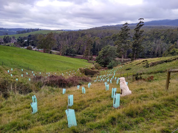 Australian Land Conservation Alliance (@landaustralian) on Twitter photo We're pleased to welcome <a href="/NRMRegions/">NRM Regions</a> as the latest ALCA member. Looking forward to working with you! We're pleased to welcome <a href="/NRMRegions/">NRM Regions</a> as the latest ALCA member. Looking forward to working with you!