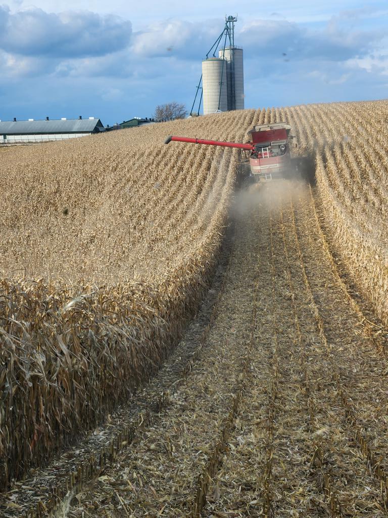 gdf_justin's tweet photo. Nice evening of harvest close to home #NK https://t.co/1gjxNFZyKr