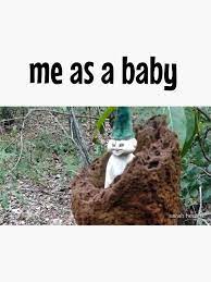 ME AS A $BABY