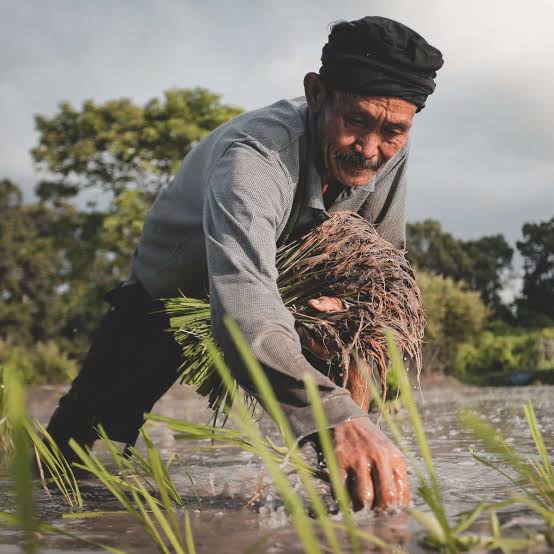 $RATIO Without tired please <a href="/ethratio/">Ratio</a>