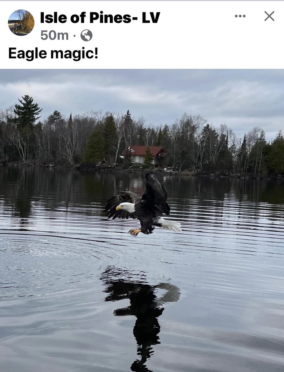 What a great #LakeVermilion photo from the Isle of Pines Facebook page!